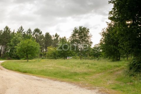 Helårsgrund i Seia, Guarda, Seia - € 190.000 | Ref: ZMPT588803 - foto 6