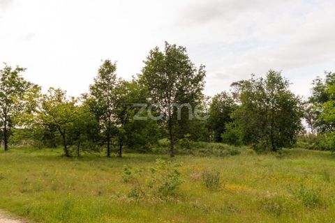 Helårsgrund i Seia, Guarda, Seia - € 190.000 | Ref: ZMPT588803 - foto 10