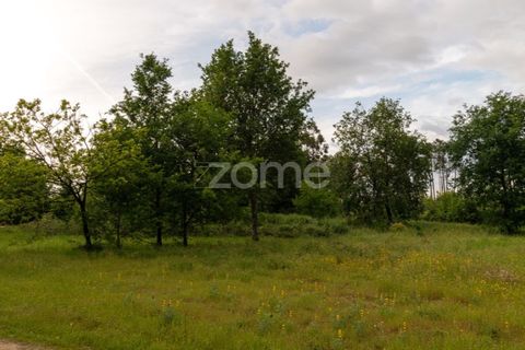Helårsgrund i Seia, Guarda, Seia - € 190.000 | Ref: ZMPT588803 - foto 12