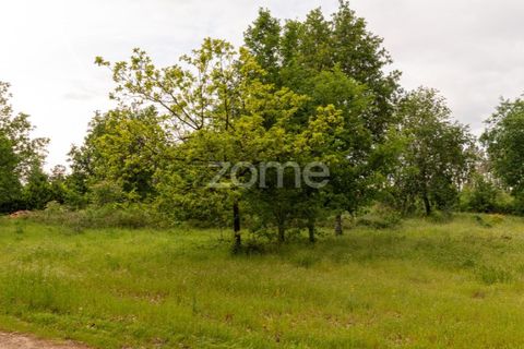 Helårsgrund i Seia, Guarda, Seia - € 190.000 | Ref: ZMPT588803 - foto 13