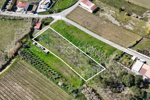Helårsgrund i Anadia, Aveiro, Anadia - € 60.000 | Ref: ZMPT588757 - foto 1