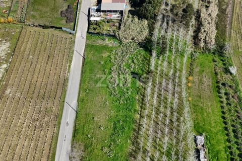 Helårsgrund i Anadia, Aveiro, Anadia - € 60.000 | Ref: ZMPT588757 - foto 5