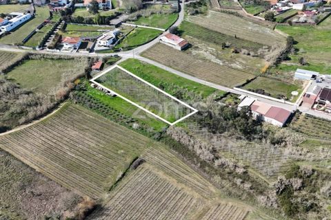 Helårsgrund i Anadia, Aveiro, Anadia - € 60.000 | Ref: ZMPT588757 - foto 6