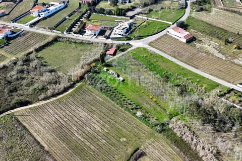 Helårsgrund i Anadia, Aveiro, Anadia - € 60.000 | Ref: ZMPT588757 - foto 8