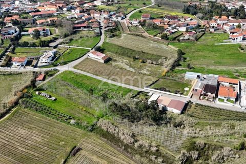 Helårsgrund i Anadia, Aveiro, Anadia - € 60.000 | Ref: ZMPT588757 - foto 10