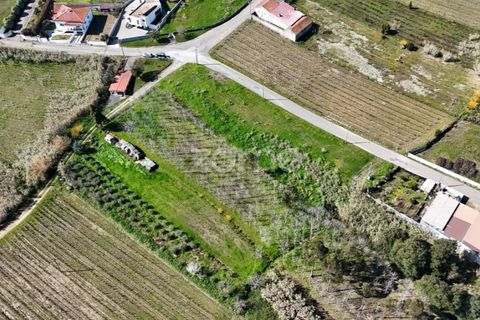 Helårsgrund i Anadia, Aveiro, Anadia - € 60.000 | Ref: ZMPT588757 - foto 11