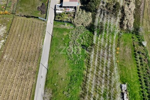 Helårsgrund i Anadia, Aveiro, Anadia - € 60.000 | Ref: ZMPT588757 - foto 14