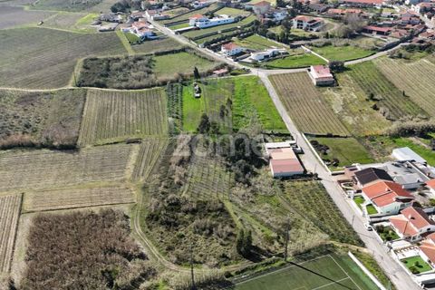 Helårsgrund i Anadia, Aveiro, Anadia - € 60.000 | Ref: ZMPT588757 - foto 16