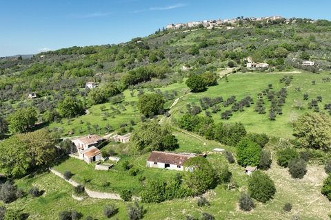 Villa a Baschi, Terni, Baschi - € 590.000 | Ref: CIVITELLA05 - foto 2