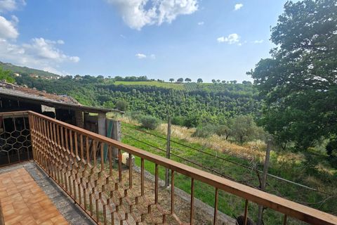 Villa a Baschi, Terni, Baschi - € 590.000 | Ref: CIVITELLA05 - foto 16