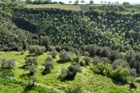 Villa a Baschi, Terni, Baschi - € 590.000 | Ref: CIVITELLA05 - foto 28