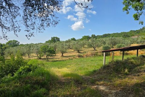 Villa a Baschi, Terni, Baschi - € 590.000 | Ref: CIVITELLA05 - foto 31