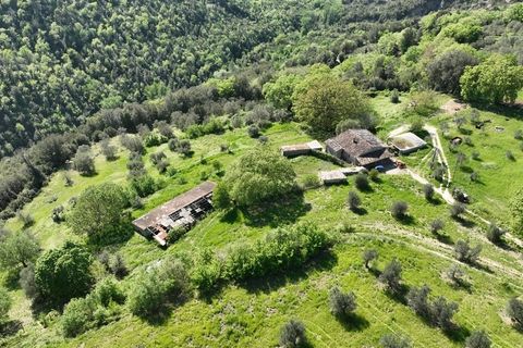 Villa a Baschi, Terni, Baschi - € 590.000 | Ref: CIVITELLA05 - foto 39