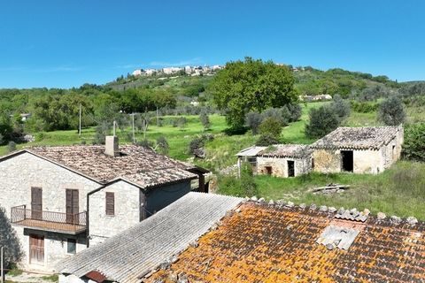 Villa a Baschi, Terni, Baschi - € 590.000 | Ref: CIVITELLA05 - foto 42