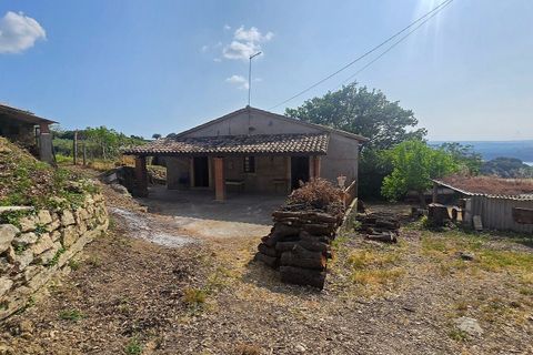 Villa a Baschi, Terni, Baschi - € 590.000 | Ref: CIVITELLA05 - foto 45