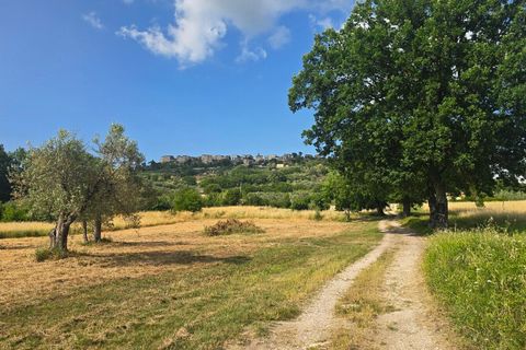 Villa a Baschi, Terni, Baschi - € 590.000 | Ref: CIVITELLA05 - foto 46