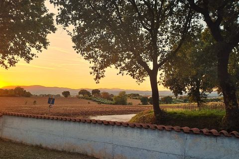 Villa i Terni, Terni, Terni - € 400.000 | Ref: COLLESCIPOLI04 - foto 45