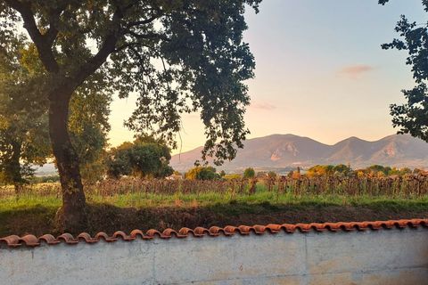 Villa i Terni, Terni, Terni - € 400.000 | Ref: COLLESCIPOLI04 - foto 47