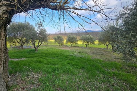 Villa i Acquasparta, Terni, Acquasparta - € 98.000 | Ref: ACQUASPARTA11 - foto 7