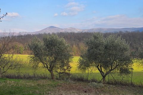 Villa i Acquasparta, Terni, Acquasparta - € 98.000 | Ref: ACQUASPARTA11 - foto 10
