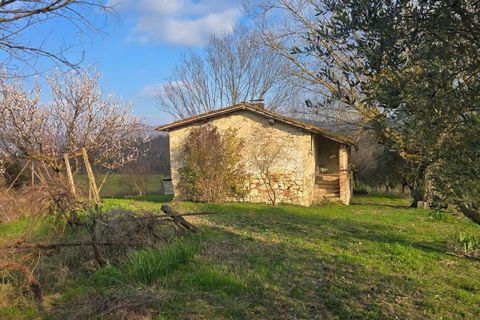 Villa i Acquasparta, Terni, Acquasparta - € 98.000 | Ref: ACQUASPARTA11 - foto 11