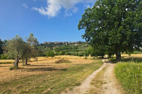 Villa en Baschi, Terni, Baschi - € 290.000 | Ref: CIVITELLA06 - photo 5