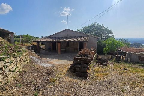 Villa en Baschi, Terni, Baschi - € 290.000 | Ref: CIVITELLA06 - photo 35