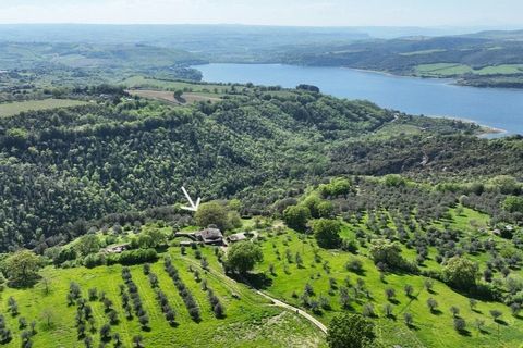 Villa en Baschi, Terni, Baschi - € 290.000 | Ref: CIVITELLA06 - photo 41