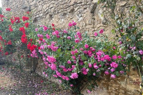 Villa i Magnac-Laval, Haute-Vienne, Magnac-Laval - € 165.000 | Ref: 830030490635 - foto 25