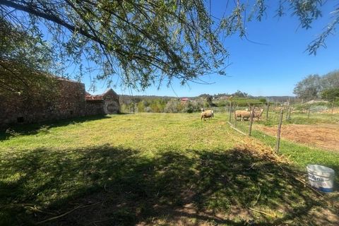 Rækkehus i Carapinha, Coimbra, Carapinha - € 65.000 | Ref: RR99229 - foto 11