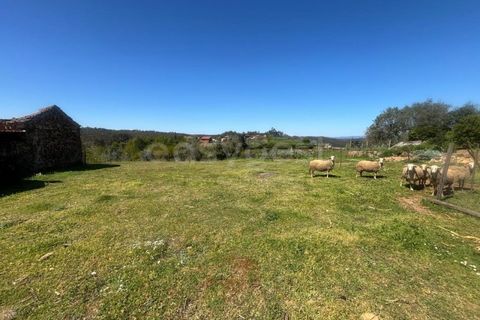 Rækkehus i Carapinha, Coimbra, Carapinha - € 65.000 | Ref: RR99229 - foto 12
