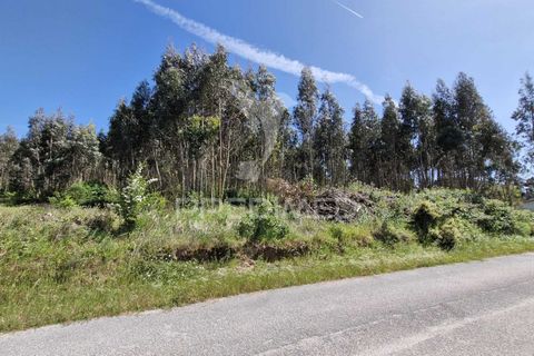 Helårsgrund i Alcobaca, Leiria, Alcobaca - € 200.000 | Ref: 059730 - foto 2