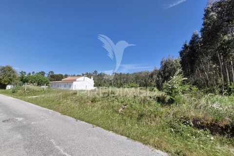 Helårsgrund i Alcobaca, Leiria, Alcobaca - € 200.000 | Ref: 059730 - foto 3
