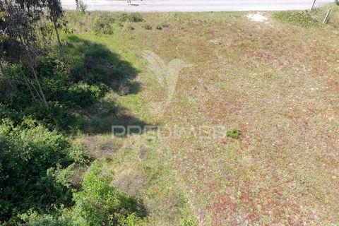 Helårsgrund i Alcobaca, Leiria, Alcobaca - € 200.000 | Ref: 059730 - foto 5
