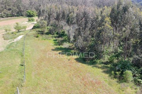 Helårsgrund i Alcobaca, Leiria, Alcobaca - € 200.000 | Ref: 059730 - foto 6