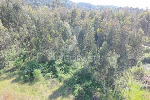 Helårsgrund i Alcobaca, Leiria, Alcobaca - € 200.000 | Ref: 059730 - foto 8