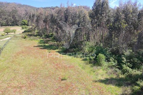 Helårsgrund i Alcobaca, Leiria, Alcobaca - € 200.000 | Ref: 059730 - foto 10