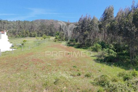 Helårsgrund i Alcobaca, Leiria, Alcobaca - € 200.000 | Ref: 059730 - foto 11