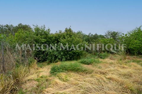 Villa i Lagosanto, Ferrara, Lagosanto - € 210.000 | Ref: 07VL076 - foto 42
