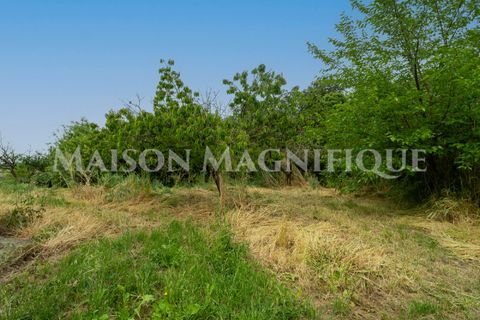Villa i Lagosanto, Ferrara, Lagosanto - € 210.000 | Ref: 07VL076 - foto 43