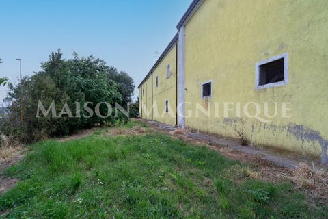 Villa i Lagosanto, Ferrara, Lagosanto - € 210.000 | Ref: 07VL076 - foto 44