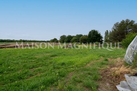Villa i Lagosanto, Ferrara, Lagosanto - € 210.000 | Ref: 07VL076 - foto 45