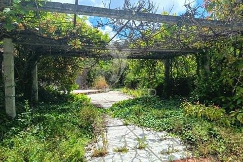 Byhus i Portalegre, Portalegre, Portalegre - € 172.000 | Ref: 060387 - foto 5