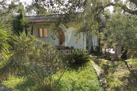 Helårsgrund i Tomar, Santarem, Tomar - € 85.000 | Ref: 060644 - foto 3