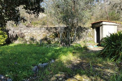 Helårsgrund i Tomar, Santarem, Tomar - € 85.000 | Ref: 060644 - foto 5