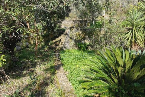 Helårsgrund i Tomar, Santarem, Tomar - € 85.000 | Ref: 060644 - foto 8