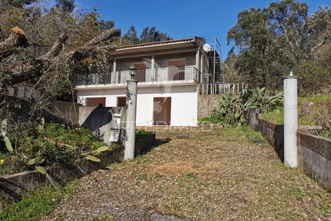 Helårsgrund i Tomar, Santarem, Tomar - € 85.000 | Ref: 060644 - foto 12