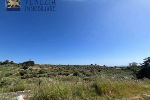 Masia a Sciacca, Agrigento, Sciacca - € 50.000 | Ref: SC04-0101 - foto 14