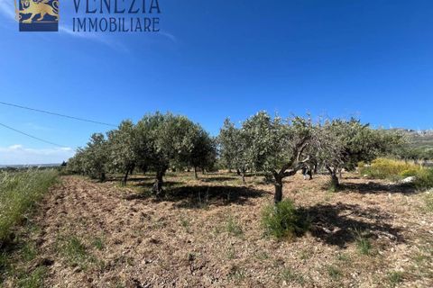 Masia a Sciacca, Agrigento, Sciacca - € 50.000 | Ref: SC04-0101 - foto 15