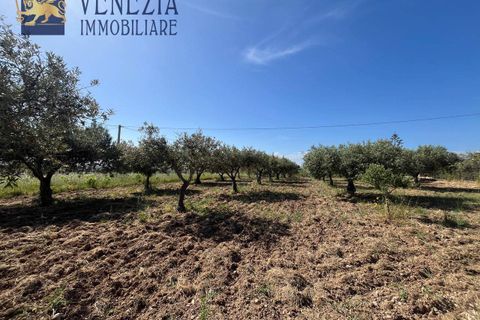 Masia a Sciacca, Agrigento, Sciacca - € 50.000 | Ref: SC04-0101 - foto 16